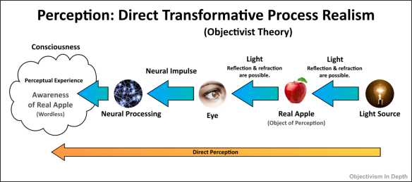 Diagram of Objectivist Theory of Perception - Direct Transformative Process Realism