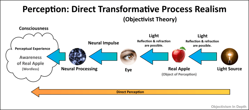 Diagram of Objectivist Theory of Perception - Direct Transformative Process Realism