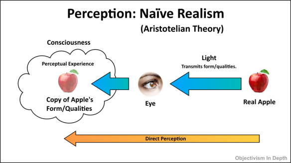 Naive Realism in visual perception diagram.